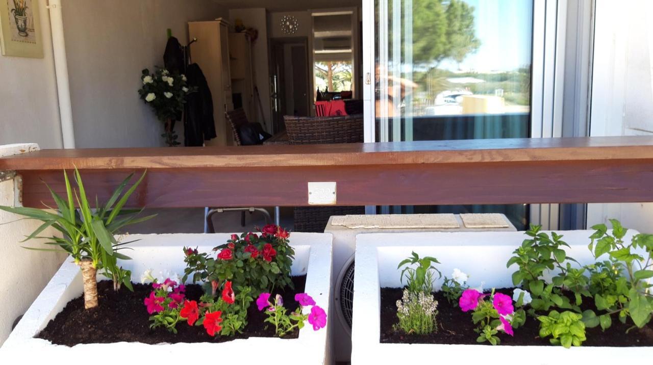 Village Naturiste, Port Nature 522 Agde Exteriör bild